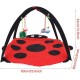 Souong Cat Activity Centre Cotton Activity Centre Mat with 4 Hanging Toys Cat Bed Roll Up Reach Cat 60 x 60 x 34 cm Red Black Souong Cat Activity Centre Cotton Activity Centre Mat with 4 Hanging Toys Cat Bed Roll Up Reach Cat 60 x 60 x 34 cm Red Black