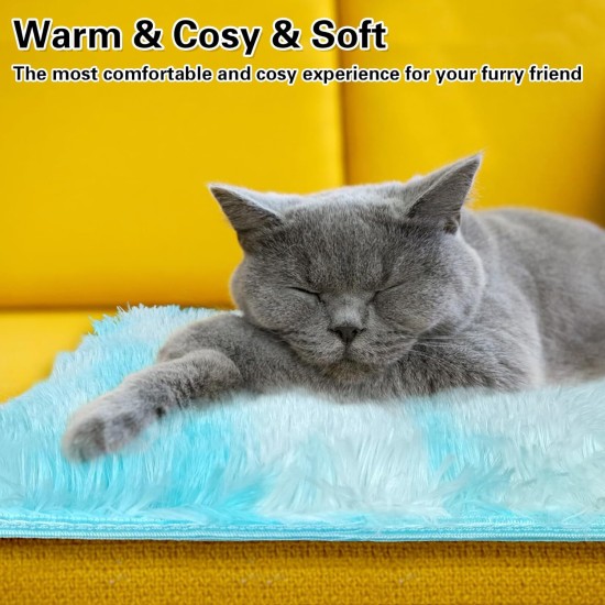 Yanmucy Pet Heating Pad Puppy Heat Pad Small Thermostatic Cat Bed Electric Heating Pad Pet Heat Mat Dog Cushion Kitten Bed Indoor (Red) Yanmucy Pet Heating Pad Puppy Heat Pad Small Thermostatic Cat Bed Electric Heating Pad Pet Heat Mat Dog Cushion Kitten Bed Indoor (Red)