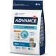 ADVANCE Adult chicken and rice dry food cat, 1-pack (1 x 3 kg)