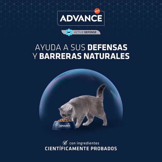 Advance dry cat food, sterilized, senior, from 10 years, 1 pack Advance dry cat food, sterilized, senior, from 10 years, 1 pack