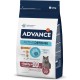 Advance dry cat food, sterilized, senior, from 10 years, 1 pack Advance dry cat food, sterilized, senior, from 10 years, 1 pack