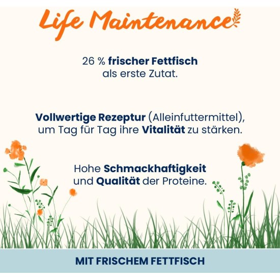 Almo Nature Holistic Maintenance Complete Adult Cat Dry Food with Fresh Oily Fish - 400g Almo Nature Holistic Maintenance Complete Adult Cat Dry Food with Fresh Oily Fish - 400g