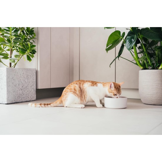 Almo Nature Holistic Maintenance Complete Adult Cat Dry Food with Fresh Turkey 12 Kg Almo Nature Holistic Maintenance Complete Adult Cat Dry Food with Fresh Turkey 12 Kg