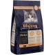 Amazon Brand - Lifelong - Cat Food for Adult Cats, Fine Prepared Dry Food with Fresh Chicken, Grain-Free Formula, 3 kg (1-Pack) Amazon Brand - Lifelong - Cat Food for Adult Cats, Fine Prepared Dry Food with Fresh Chicken, Grain-Free Formula, 3 kg (1-Pack)