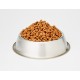 Amazon Brand - Lifelong - Cat Food for Adult Cats, Fine Prepared Dry Food with Fresh Chicken, Grain-Free Formula, 3 kg (1-Pack) Amazon Brand - Lifelong - Cat Food for Adult Cats, Fine Prepared Dry Food with Fresh Chicken, Grain-Free Formula, 3 kg (1-Pack)