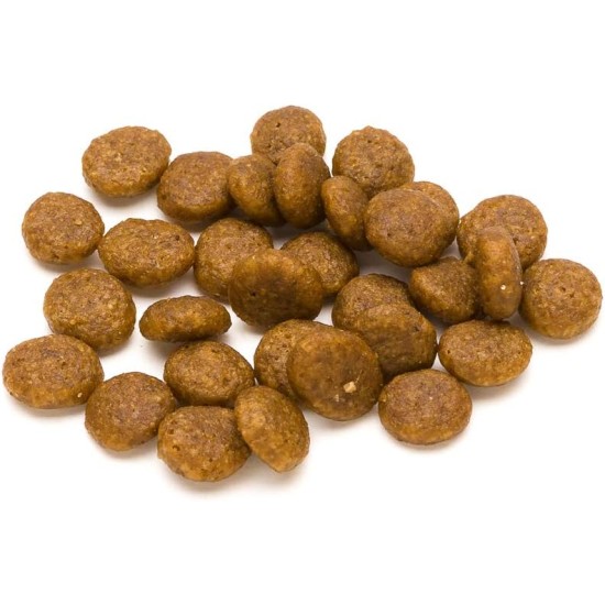 Amazon Brand - Lifelong - Complete Dry Cat Food with Salmon and Rice 3 kg Amazon Brand - Lifelong - Complete Dry Cat Food with Salmon and Rice 3 kg