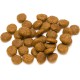 Amazon Brand - Lifelong - Complete Dry Cat Food with Salmon and Rice 3 kg Amazon Brand - Lifelong - Complete Dry Cat Food with Salmon and Rice 3 kg