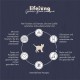Amazon Brand: Lifelong Complete Cat Food with Grain Free Recipe Amazon Brand: Lifelong Complete Cat Food with Grain Free Recipe