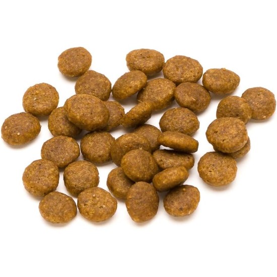 Amazon brand: Lifelong Complete Dry Food for Adult Cats, Rich in Chicken & Rice, 1 x 3kg Amazon brand: Lifelong Complete Dry Food for Adult Cats, Rich in Chicken & Rice, 1 x 3kg