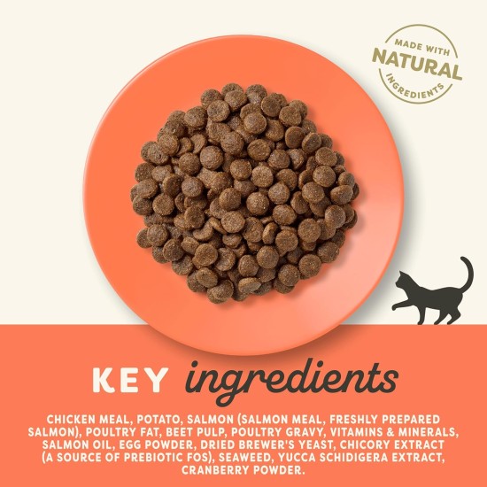 Applaws Adult Dry Cat Food, Chicken with Extra Salmon, Grain-Free and Complete, 2 kg (1 Pack) Applaws Adult Dry Cat Food, Chicken with Extra Salmon, Grain-Free and Complete, 2 kg (1 Pack)