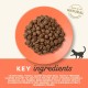 Applaws Adult Dry Cat Food, Chicken with Extra Salmon, Grain-Free and Complete, 2 kg (1 Pack) Applaws Adult Dry Cat Food, Chicken with Extra Salmon, Grain-Free and Complete, 2 kg (1 Pack)