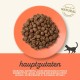 Applaws Adult Dry Cat Food, Chicken with Extra Salmon, Grain-Free and Complete, 2 kg (1 Pack) Applaws Adult Dry Cat Food, Chicken with Extra Salmon, Grain-Free and Complete, 2 kg (1 Pack)