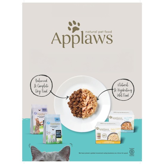 Applaws Adult Dry Cat Food, Chicken with Extra Salmon, Grain-Free and Complete, 2 kg (1 Pack) Applaws Adult Dry Cat Food, Chicken with Extra Salmon, Grain-Free and Complete, 2 kg (1 Pack)
