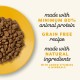 Applaws Adult Dry Cat Food, Chicken with Extra Salmon, Grain-Free and Complete, 2 kg (1 Pack) Applaws Adult Dry Cat Food, Chicken with Extra Salmon, Grain-Free and Complete, 2 kg (1 Pack)