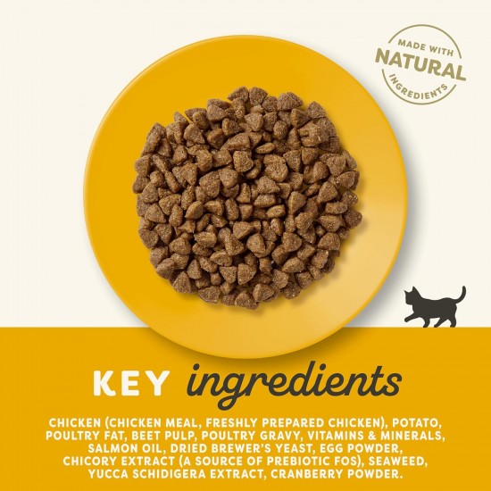 Applaws Adult Dry Cat Food, Chicken with Extra Salmon, Grain-Free and Complete, 2 kg (1 Pack) Applaws Adult Dry Cat Food, Chicken with Extra Salmon, Grain-Free and Complete, 2 kg (1 Pack)