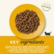 Applaws Adult Dry Cat Food, Chicken with Extra Salmon, Grain-Free and Complete, 2 kg (1 Pack) Applaws Adult Dry Cat Food, Chicken with Extra Salmon, Grain-Free and Complete, 2 kg (1 Pack)
