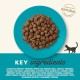 Applaws Adult Dry Cat Food, Chicken with Extra Salmon, Grain-Free and Complete, 2 kg (1 Pack) Applaws Adult Dry Cat Food, Chicken with Extra Salmon, Grain-Free and Complete, 2 kg (1 Pack)