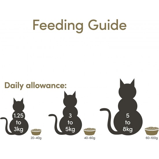 Applaws Adult Dry Cat Food, Chicken with Extra Salmon, Grain-Free and Complete, 2 kg (1 Pack) Applaws Adult Dry Cat Food, Chicken with Extra Salmon, Grain-Free and Complete, 2 kg (1 Pack)
