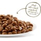Applaws Adult Dry Cat Food, Chicken with Extra Salmon, Grain-Free and Complete, 2 kg (1 Pack) Applaws Adult Dry Cat Food, Chicken with Extra Salmon, Grain-Free and Complete, 2 kg (1 Pack)