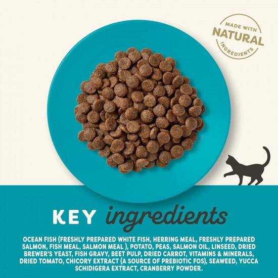 Applaws Adult Dry Cat Food, Chicken with Extra Salmon, Grain-Free and Complete, 2 kg (1 Pack) Applaws Adult Dry Cat Food, Chicken with Extra Salmon, Grain-Free and Complete, 2 kg (1 Pack)