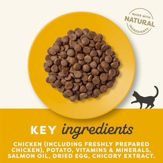 Applaws Adult Dry Cat Food, Chicken with Extra Salmon, Grain-Free and Complete, 2 kg (1 Pack) Applaws Adult Dry Cat Food, Chicken with Extra Salmon, Grain-Free and Complete, 2 kg (1 Pack)