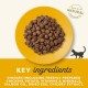 Applaws Adult Dry Cat Food, Chicken with Extra Salmon, Grain-Free and Complete, 2 kg (1 Pack) Applaws Adult Dry Cat Food, Chicken with Extra Salmon, Grain-Free and Complete, 2 kg (1 Pack)