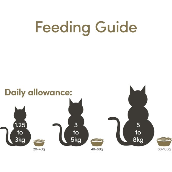 Applaws Adult Dry Cat Food, Chicken with Extra Salmon, Grain-Free and Complete, 2 kg (1 Pack) Applaws Adult Dry Cat Food, Chicken with Extra Salmon, Grain-Free and Complete, 2 kg (1 Pack)