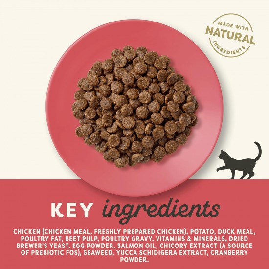 Applaws Adult Dry Cat Food, Chicken with Extra Salmon, Grain-Free and Complete, 2 kg (1 Pack) Applaws Adult Dry Cat Food, Chicken with Extra Salmon, Grain-Free and Complete, 2 kg (1 Pack)