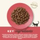 Applaws Adult Dry Cat Food, Chicken with Extra Salmon, Grain-Free and Complete, 2 kg (1 Pack) Applaws Adult Dry Cat Food, Chicken with Extra Salmon, Grain-Free and Complete, 2 kg (1 Pack)