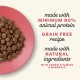 Applaws Adult Dry Cat Food, Chicken with Extra Salmon, Grain-Free and Complete, 2 kg (1 Pack) Applaws Adult Dry Cat Food, Chicken with Extra Salmon, Grain-Free and Complete, 2 kg (1 Pack)