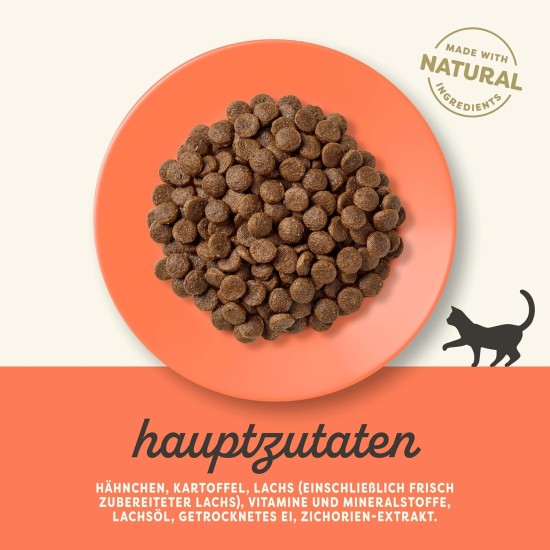 Applaws Adult Dry Cat Food, Chicken with Extra Salmon, Grain-Free and Complete, 400g (1 Pack) Applaws Adult Dry Cat Food, Chicken with Extra Salmon, Grain-Free and Complete, 400g (1 Pack)