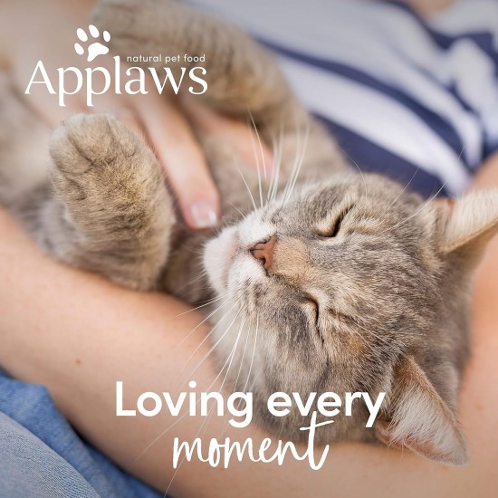Applaws Complete Natural Dry Cat Food, 350g, Adult, Ocean Fish with Salmon Applaws Complete Natural Dry Cat Food, 350g, Adult, Ocean Fish with Salmon