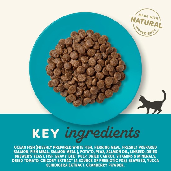 Applaws Grain-Free Dry Cat Food with Chicken for Adult and Mature Cats, Natural and Complete (1 x 7.5 kg Pack) Applaws Grain-Free Dry Cat Food with Chicken for Adult and Mature Cats, Natural and Complete (1 x 7.5 kg Pack)