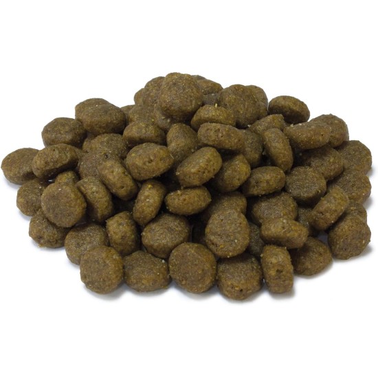 Arquivet Sterilized Turkey 10kg (Pack of 1) Arquivet Sterilized Turkey 10kg (Pack of 1)