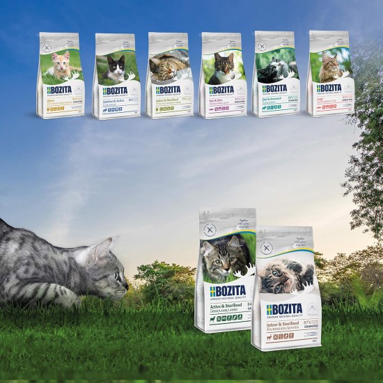 Bozita Active & Sterilised Cat Dry Food with Lamb - 2kg - Grain-Free Cat Food for Sterilized, Active Cats - 33% Protein, 20% Fat - No Sugar & GMO Free Bozita Active & Sterilised Cat Dry Food with Lamb - 2kg - Grain-Free Cat Food for Sterilized, Active Cats - 33% Protein, 20% Fat - No Sugar & GMO Free