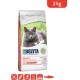 Bozita Grain Free Cat Dry Food with Salmon - 2 kg - Grain-Free Dry Food for Sensitive Senior Cats from 8 Years - 33% Protein, 12% Fat - No Sugar & GMO - From Sweden Bozita Grain Free Cat Dry Food with Salmon - 2 kg - Grain-Free Dry Food for Sensitive Senior Cats from 8 Years - 33% Protein, 12% Fat - No Sugar & GMO - From Sweden