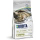 Bozita Indoor & Sterilised Cat Dry Food with Reindeer - 2kg - Wheat Cat Food for Sterilised Domestic Cats - 33% Protein, 14% Fat - GMO Free, Complete Food Bozita Indoor & Sterilised Cat Dry Food with Reindeer - 2kg - Wheat Cat Food for Sterilised Domestic Cats - 33% Protein, 14% Fat - GMO Free, Complete Food