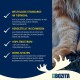 Bozita Indoor & Sterilised Cat Dry Food with Reindeer - 2kg - Wheat Cat Food for Sterilised Domestic Cats - 33% Protein, 14% Fat - GMO Free, Complete Food Bozita Indoor & Sterilised Cat Dry Food with Reindeer - 2kg - Wheat Cat Food for Sterilised Domestic Cats - 33% Protein, 14% Fat - GMO Free, Complete Food