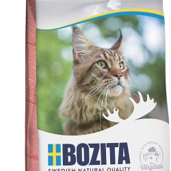 Bozita Large Wheat Free Salmon - 2kg Dry Food for Large Cat Breeds - Wheat Free Cat Food with 31% Protein & 18% Fat - For Sensitive Cats - No Sugar & GMO