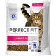 Cat Bag Adult 1+ with Salmon 1 x 1.4 kg Cat Bag Adult 1+ with Salmon 1 x 1.4 kg
