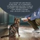 Cat Food Dry Mix 800g, Pack of 3