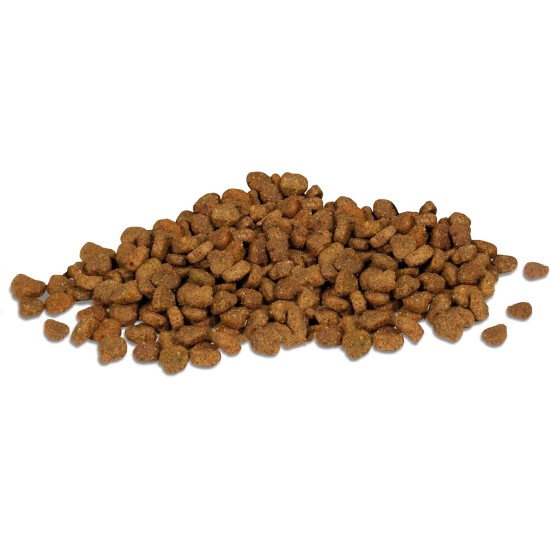 CiCi Complete Dry Cat Food for Adults and Neutered Cats with Poultry 10kg CiCi Complete Dry Cat Food for Adults and Neutered Cats with Poultry 10kg