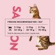 Complete Dry Food with Salmon Flavour for Cats, Food for Adult Domestic Cats, 400 g Complete Dry Food with Salmon Flavour for Cats, Food for Adult Domestic Cats, 400 g