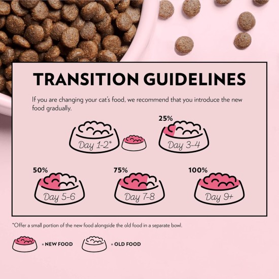 Complete Dry Food with Salmon Flavour for Cats, Food for Adult Domestic Cats, 400 g Complete Dry Food with Salmon Flavour for Cats, Food for Adult Domestic Cats, 400 g