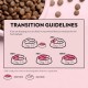 Complete Dry Food with Salmon Flavour for Cats, Food for Adult Domestic Cats, 400 g Complete Dry Food with Salmon Flavour for Cats, Food for Adult Domestic Cats, 400 g