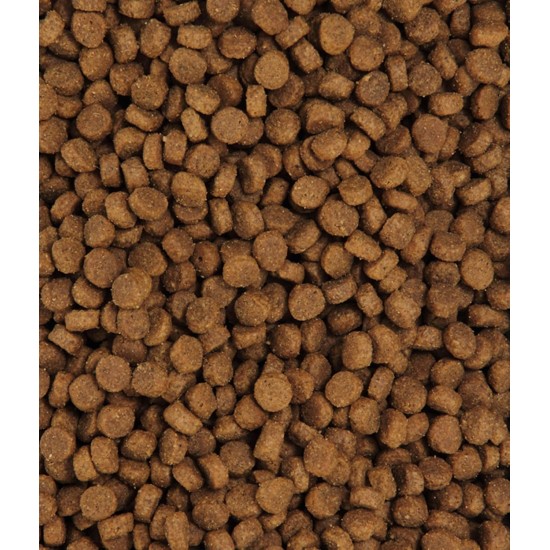 Dehner Premium Cat Food Dry Food Grain Free Adult Cat Trout 2kg Dehner Premium Cat Food Dry Food Grain Free Adult Cat Trout 2kg
