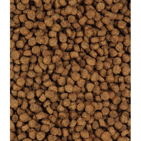 Dehner Premium Cat Food Light Dry Food Grain-Free / Calorie Reduced for Older Cats, Poultry, 2 kg Dehner Premium Cat Food Light Dry Food Grain-Free / Calorie Reduced for Older Cats, Poultry, 2 kg