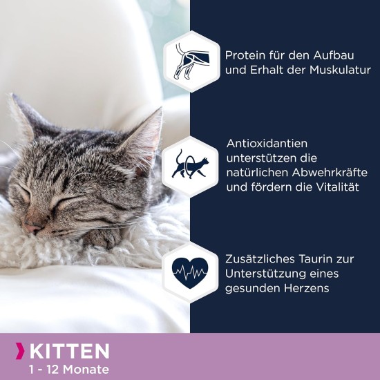 EUKANUBA Junior Wet Grain-Free Cat Food - Premium Wet Food with Lots of Salmon for Kittens, 12 x 85 g EUKANUBA Junior Wet Grain-Free Cat Food - Premium Wet Food with Lots of Salmon for Kittens, 12 x 85 g