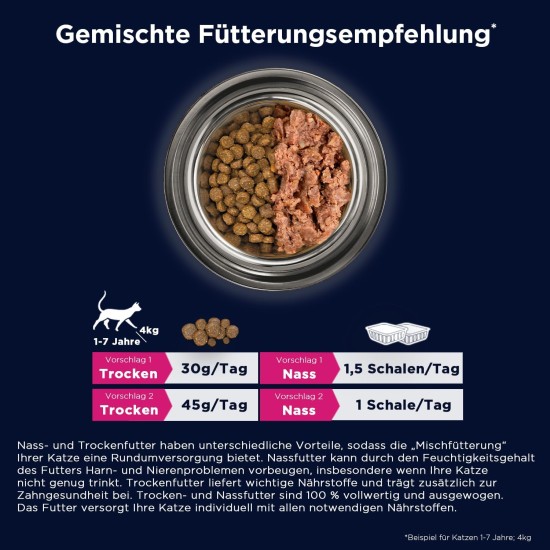 EUKANUBA Junior Wet Grain-Free Cat Food - Premium Wet Food with Lots of Salmon for Kittens, 12 x 85 g EUKANUBA Junior Wet Grain-Free Cat Food - Premium Wet Food with Lots of Salmon for Kittens, 12 x 85 g