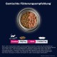 EUKANUBA Junior Wet Grain-Free Cat Food - Premium Wet Food with Lots of Salmon for Kittens, 12 x 85 g EUKANUBA Junior Wet Grain-Free Cat Food - Premium Wet Food with Lots of Salmon for Kittens, 12 x 85 g